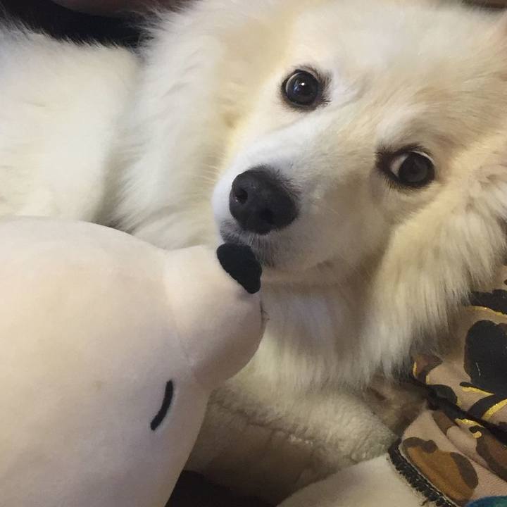 61b53766 e301 4f9b a00e 63a81a580a0a