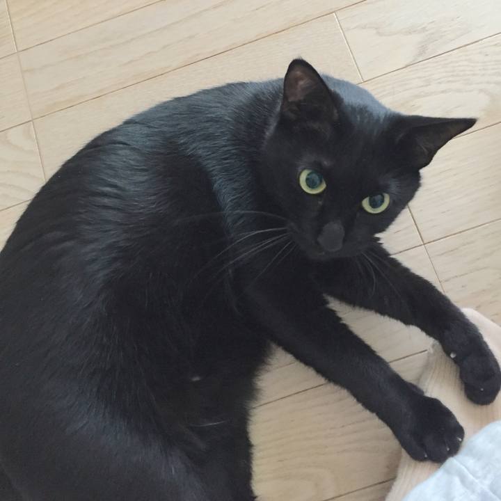 61b5d2c2 d2cf 4194 9df3 dfff6d110bff