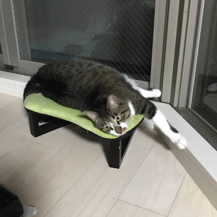 61b628c8 b854 4d6d aea8 10f53934c29a