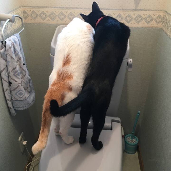 61b64c46 7dca 4148 a0a6 86a23e6becb9