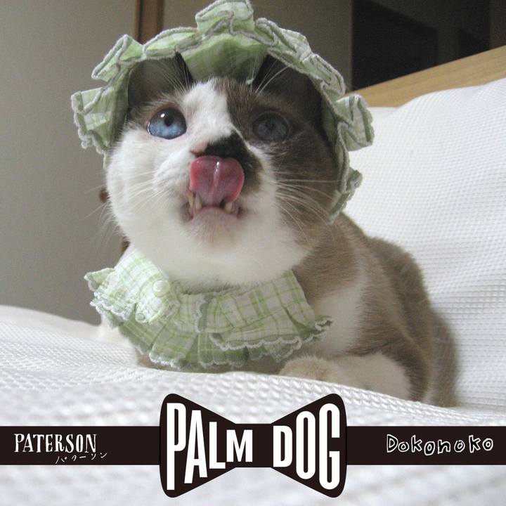 61b6a86d 77fd 4521 9239 6c2fc83e3edb