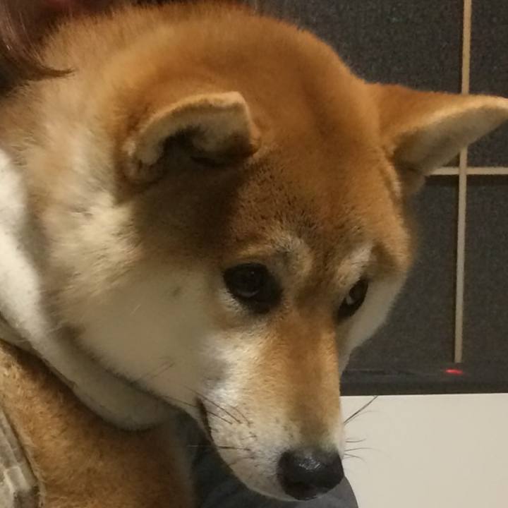 61b70691 94fd 4cb7 b5e2 14238014acbb