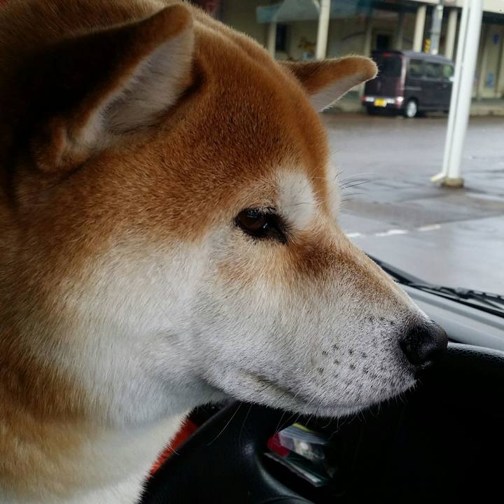 61b74e8e 6645 4beb 8e77 5b10d2f086f7