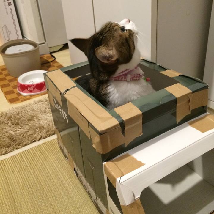 61b7de11 466a 4f3e b334 155ffc0348fe