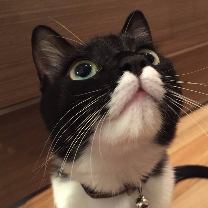 61b80a8d 5ffe 4a32 beea 8931835efaee