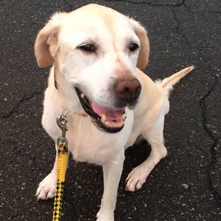 61b81622 0561 4527 a401 e782b55cd75b