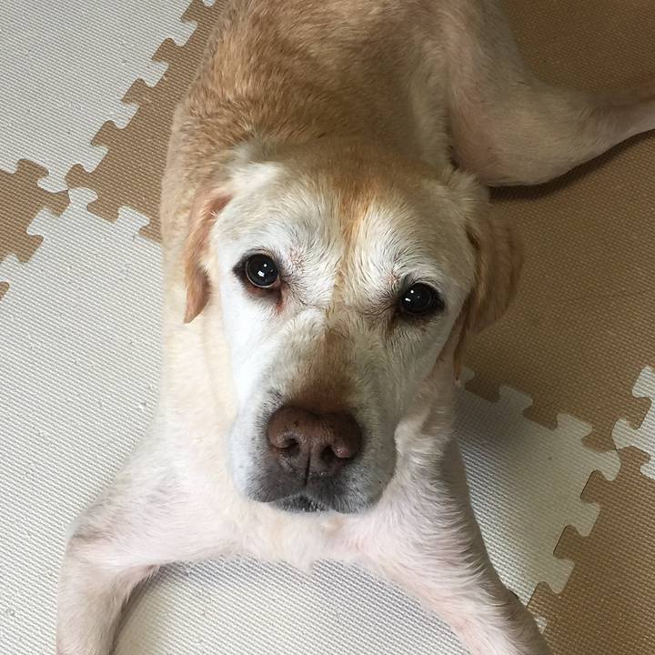 61b81f88 1912 4db2 93b5 c7594d3de0d7