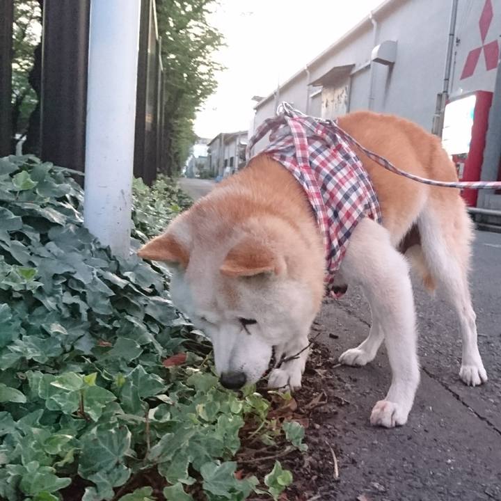 61b85aaf e80b 4545 a6d5 480721b2b499