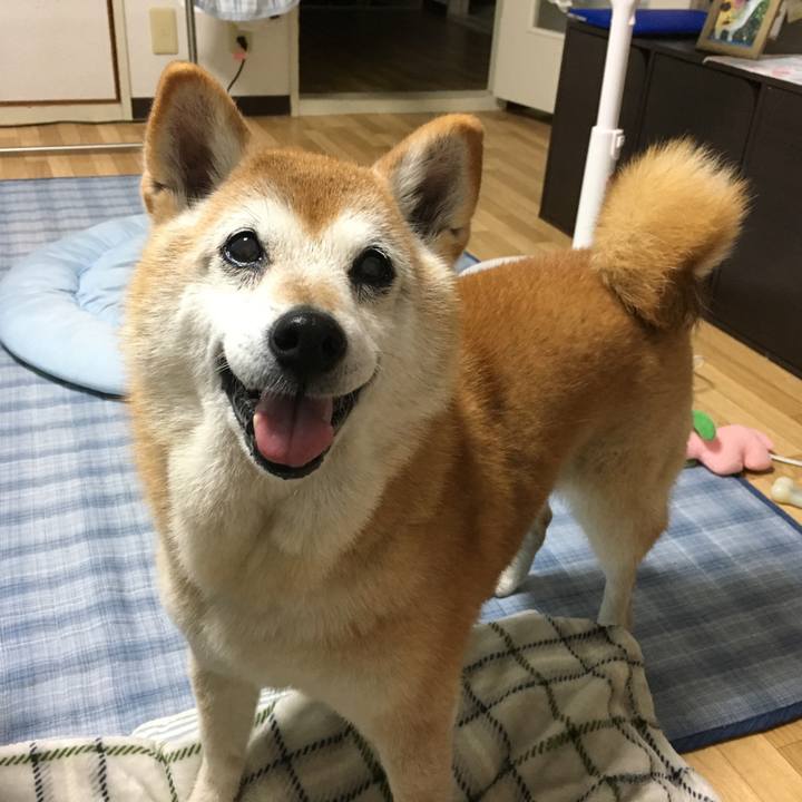 61b8878b 5246 48b5 b1db 7d8474043e35