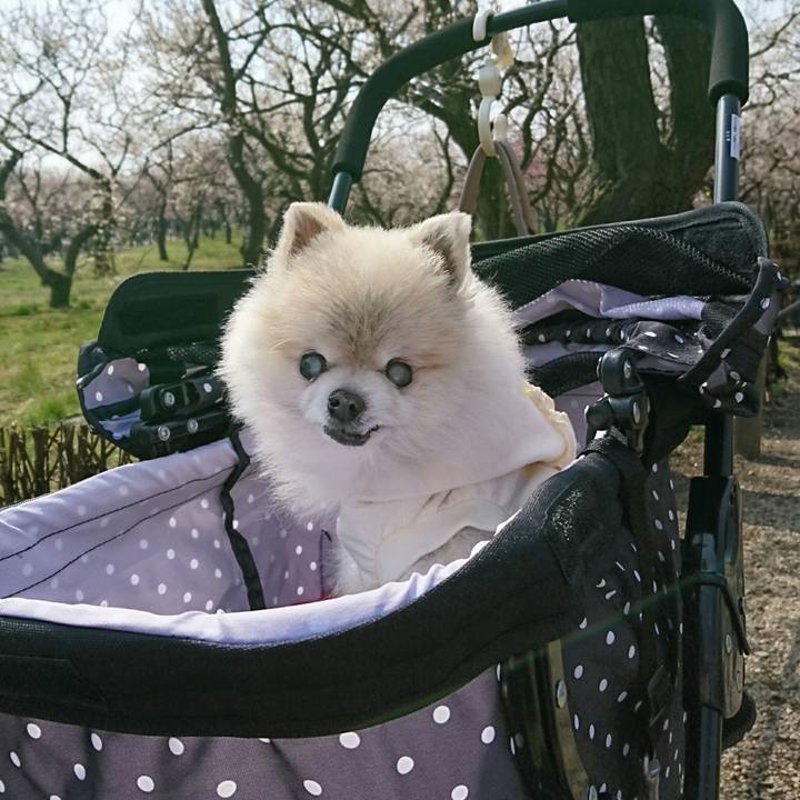 61b8bc19 ee99 4f4a b410 d209bc402e51