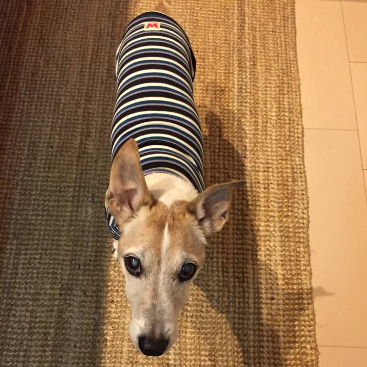 61b94df7 a0ab 4056 b4d6 153574d02018