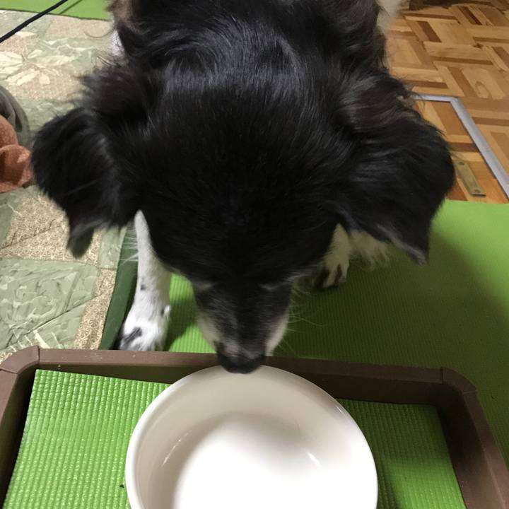 61b9fd6c 01bc 4e21 a8f9 00e20d11f8b8