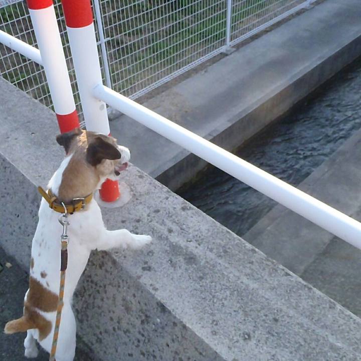 61ba3ab9 7e5c 4c94 a45c 5d5a4f916bf6