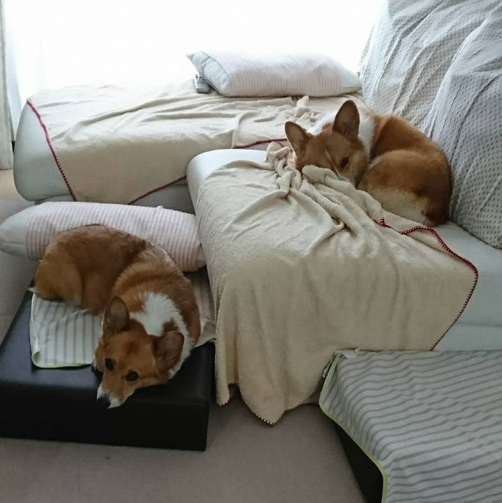 61ba4030 c070 4b44 bd4c ed56551d270d