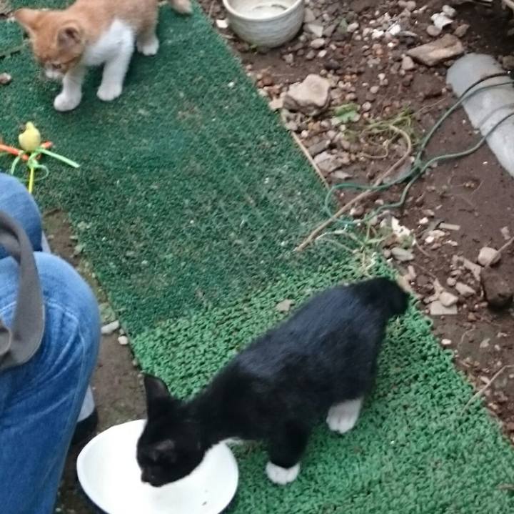 61bb3c4a 049a 4e70 8598 aaf3dead185e