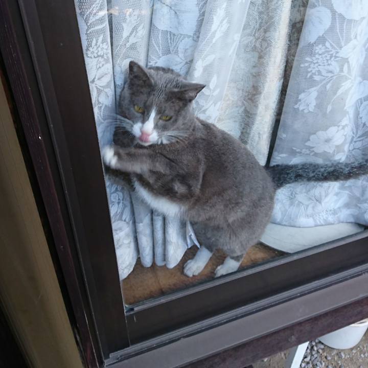 61bb568e 71c8 46bb a179 805d68713262