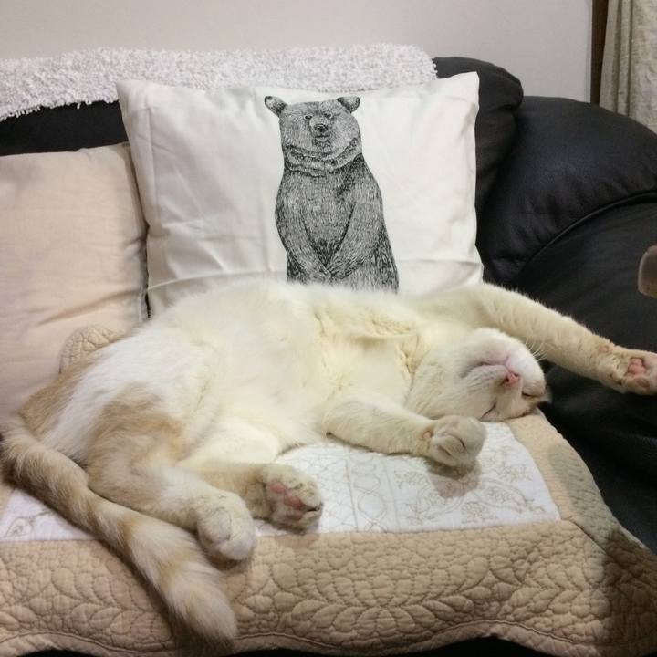 61bb898d a1e8 4736 acdd 25538ee96a2f