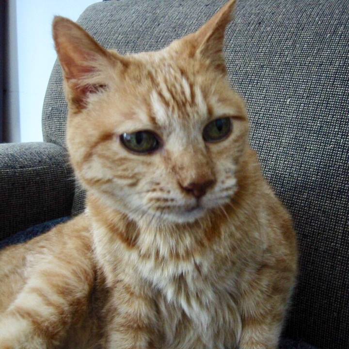 61bc1afb 43d6 418a bf15 5610abb5ae9f