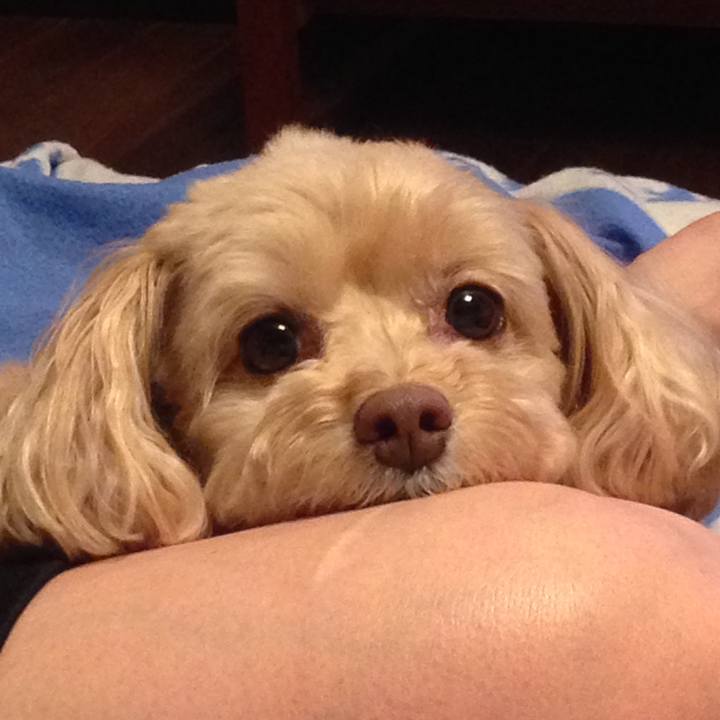 61bc495d 9e0c 4456 8c17 771c555d78d6