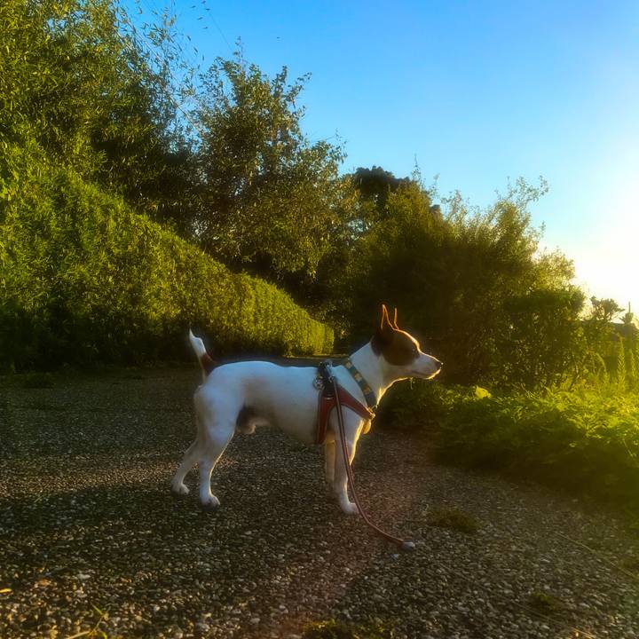 61bc56d9 7652 4b13 8a2a 587062d8a75a