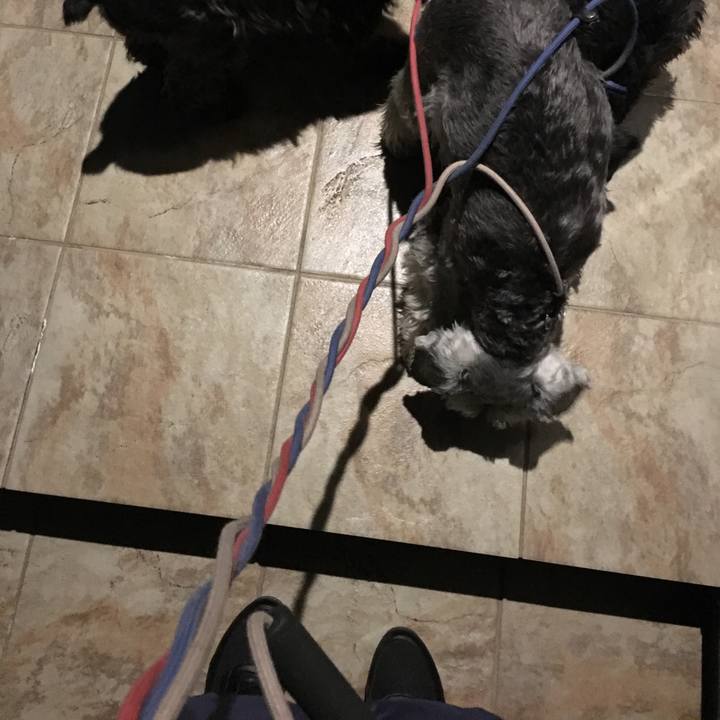 61bd09d5 4c22 4a1f 8379 3f4752174534