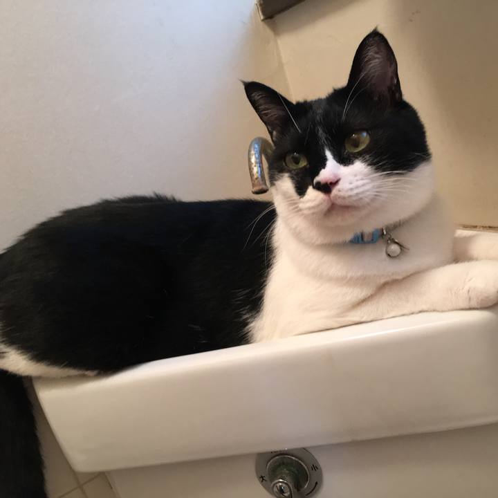 61bd3895 4ac9 43bd a3c3 0ce007df04bf