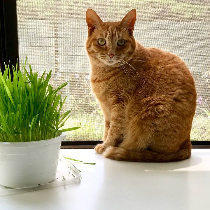 61bdc495 5709 4c99 925b d441d00581ac