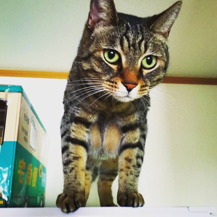 61bdf3d8 1929 4dc7 890c db4440088335