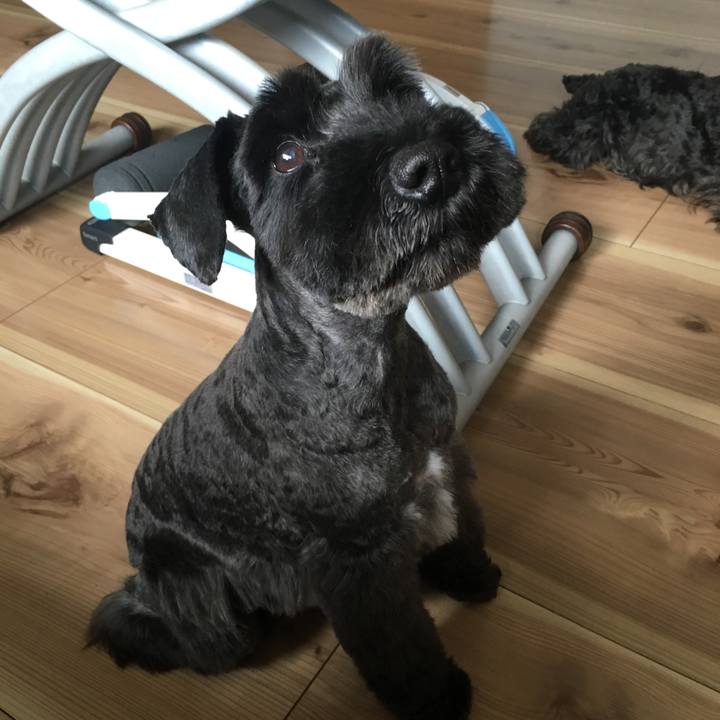 61be20b3 f828 4032 a681 41ff76ec2f02