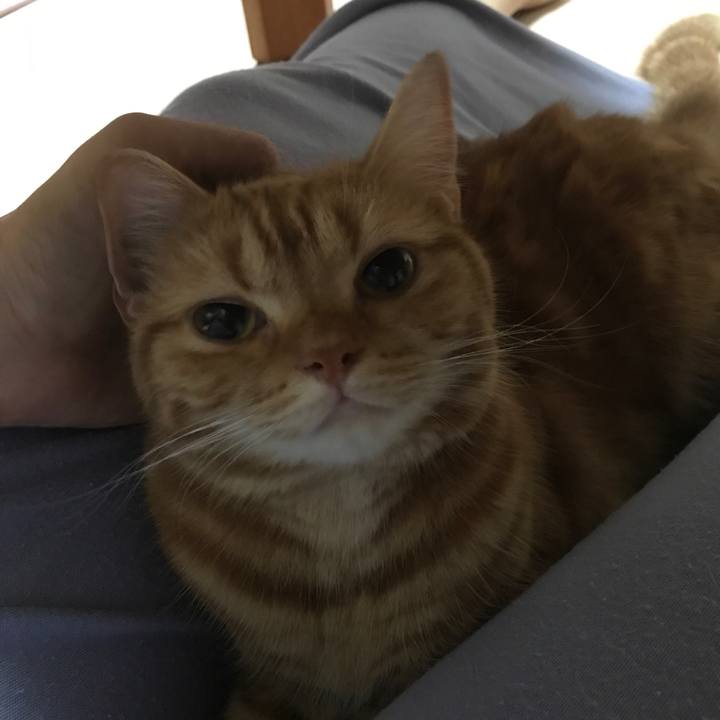 61be225f b06b 4498 9c14 fb8fcbea7b38