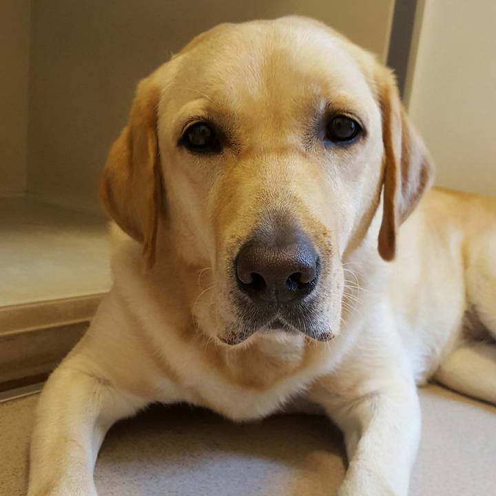 61be9dd6 7c5e 44a9 8114 23c94401cfe9