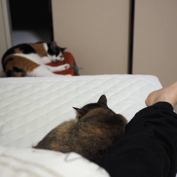 61bec6c2 72c3 4380 8d22 925de96f3f47