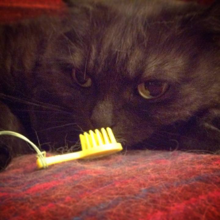 61beef49 7836 4142 a18b 94664c5cb187