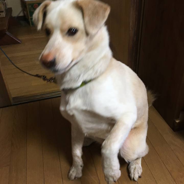 61bf2139 2529 42bb b94a 6d725ab9cc60