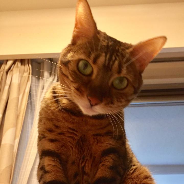 61bf2c75 1792 4e1c 82ba a8208bcf4290