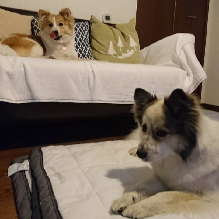 61bf33ee f6f8 47f2 af92 5db18791764b