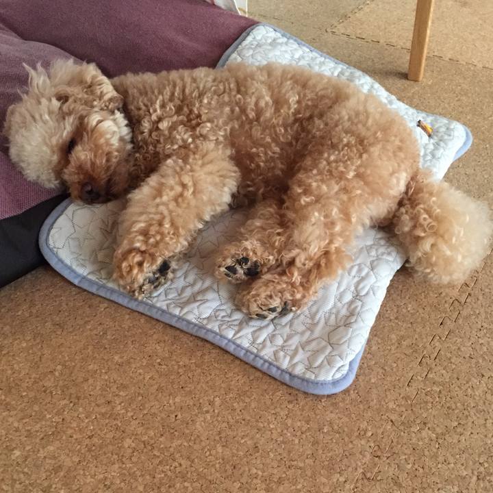 61bf70f3 3216 4b9c ada1 3f3b277a6063