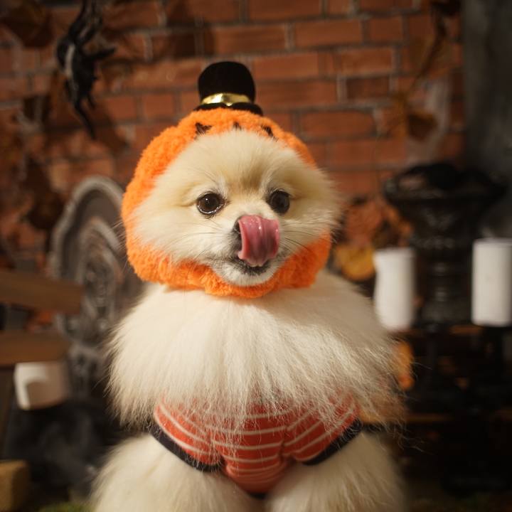 61bf92c1 655c 4756 a6ca 5dde2d6117bd