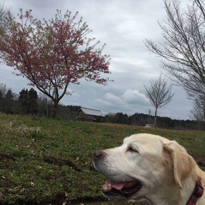 61c07221 7f81 42ed bb62 c50725f496a4