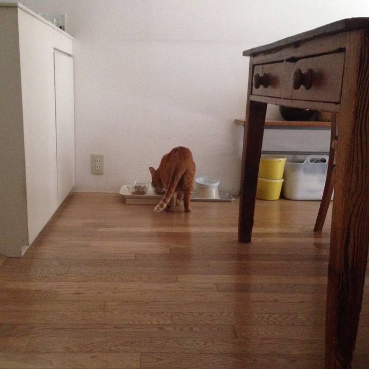 61c0dc45 7fb8 4b88 ae88 d11cc10714e5