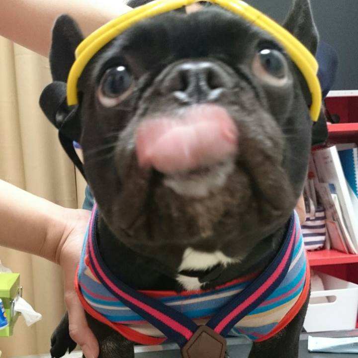 61c0ead5 3057 49fe ac73 33e3d04f47ca