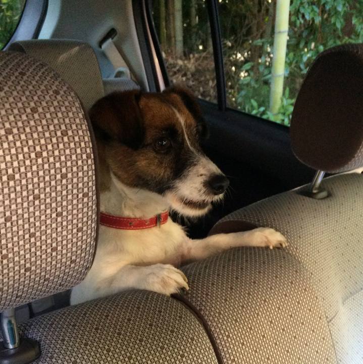 61c10c9f 1123 4774 87ab 8fa68788b7e5