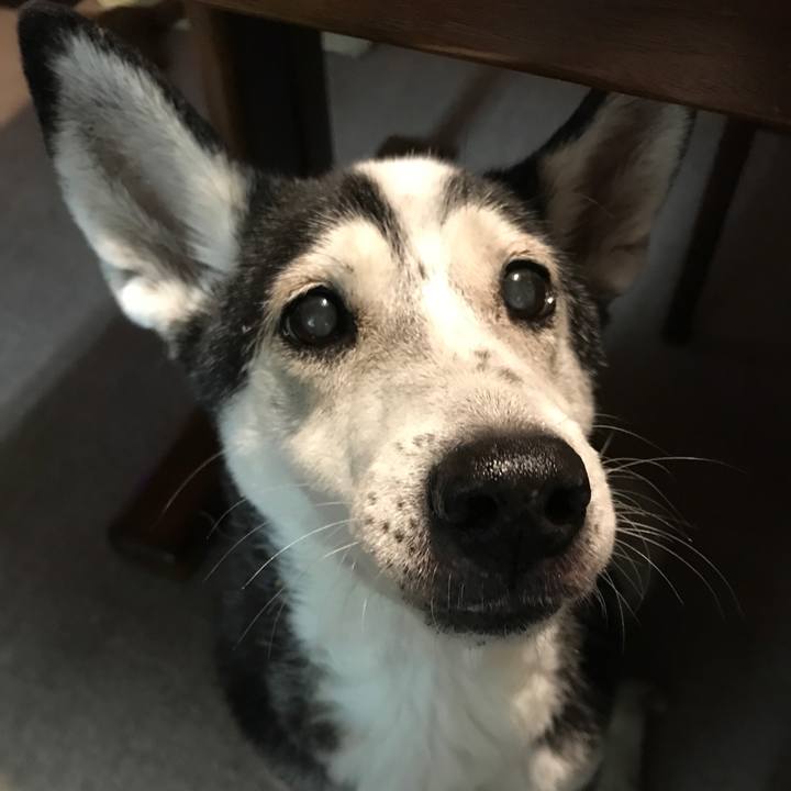 61c1dfe6 576e 46fd bd42 649a3a65a881