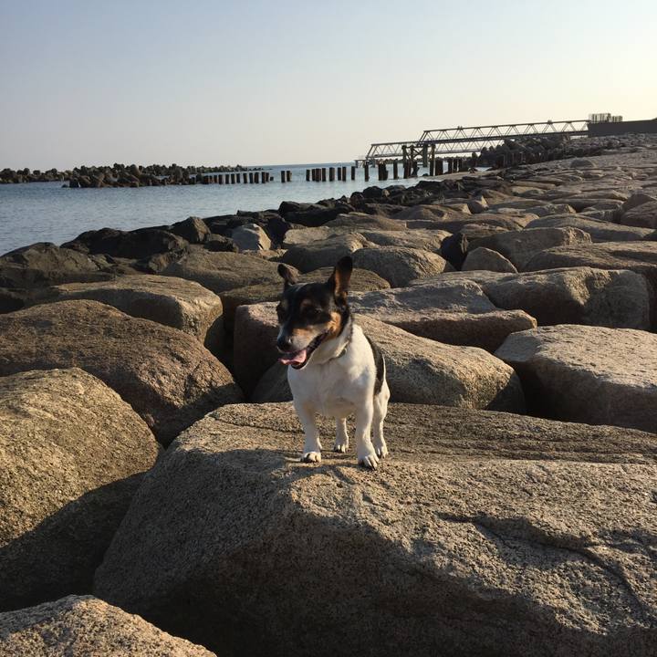 61c1efd9 bd33 4cc1 9122 0756370fccee