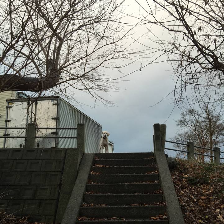 61c20c3d debd 473b 9462 16385082b95b