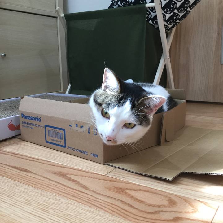 61c29db5 dcc7 4ee4 adca d39de3944e59