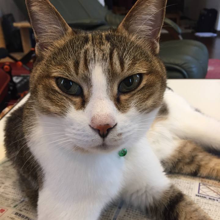 61c2d95f b26c 495c a02c 25bdc62a7529