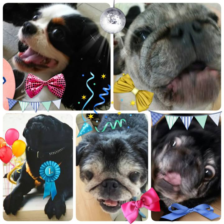 61c2f0b4 55a8 444d 9213 08f92321486e