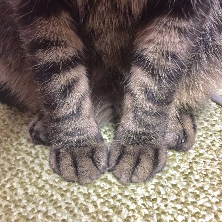 61c3e517 681b 41ce bcbd d184a29ab7ff