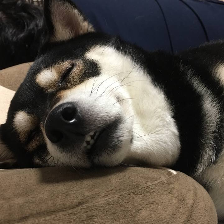 61c3f0df 8afd 41a7 867e 9108dc006741